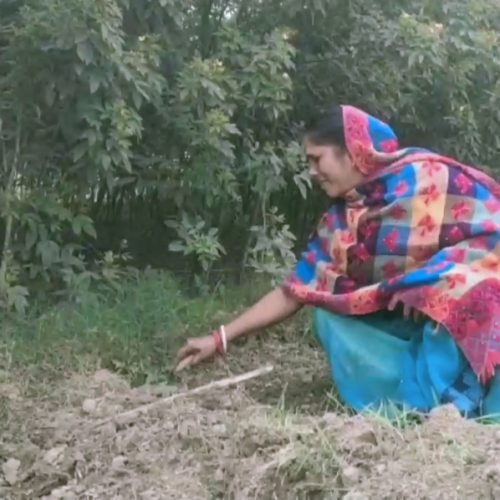 राष्ट्रपति द्रौपदी मुर्मू संग ‘चाय पर चर्चा’ करतीह ई मैथिलानी, भेंट क’ क’ एहि मुद्दा पर करतीह बात